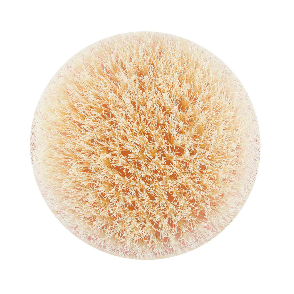 إكوتولز فرشاة الجسم الجافة، فرشاة واحدة - الصورة 2